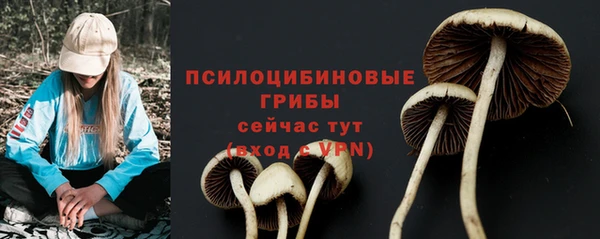 соль курить ск Инсар