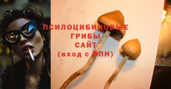 соль курить ск Инсар