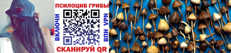 Купить закладки  Богданович  Галлюциногенные грибы прущие грибы 